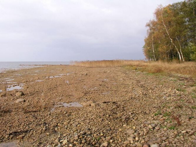 Maakond: Tartumaa Veekogu nimi: Võrtsjärv Pildistamise aeg: 22. oktoober 2006 Pildistaja: H. Timm Pildistamise koht: Limnoloogia Asimuut: