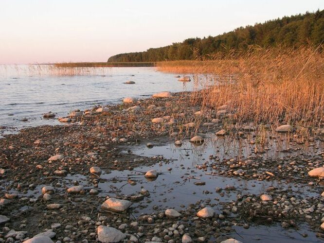 Maakond: Tartumaa Veekogu nimi: Võrtsjärv Pildistamise aeg: 22. oktoober 2006 Pildistaja: H. Timm Pildistamise koht: Limnoloogia Asimuut: