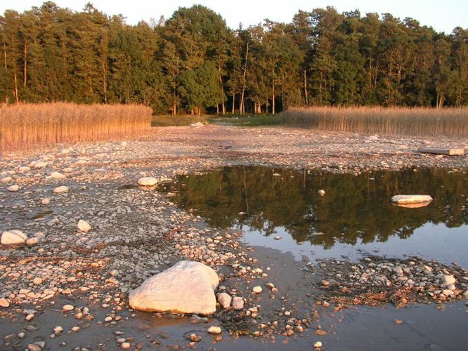 Maakond: Tartumaa Veekogu nimi: Võrtsjärv Pildistamise aeg: 22. oktoober 2006 Pildistaja: H. Timm Pildistamise koht: Limnoloogia Asimuut: