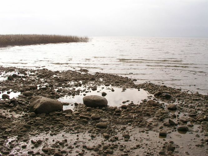 Maakond: Tartumaa Veekogu nimi: Võrtsjärv Pildistamise aeg: 22. oktoober 2006 Pildistaja: H. Timm Pildistamise koht: Limnoloogia Asimuut: