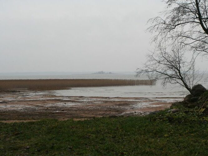 Maakond: Tartumaa Veekogu nimi: Võrtsjärv Pildistamise aeg: 26. november 2006 Pildistaja: H. Timm Pildistamise koht: Tasa Asimuut: