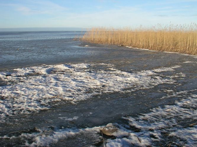 Maakond: Tartumaa Veekogu nimi: Võrtsjärv Pildistamise aeg: detsember 2006 Pildistaja: H. Timm Pildistamise koht: Rannaküla, Petseri Asimuut: