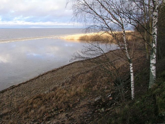 Maakond: Tartumaa Veekogu nimi: Võrtsjärv Pildistamise aeg: jaanuar 2007 Pildistaja: H. Timm Pildistamise koht: Limnoloogia Asimuut: