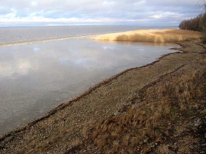 Maakond: Tartumaa Veekogu nimi: Võrtsjärv Pildistamise aeg: jaanuar 2007 Pildistaja: H. Timm Pildistamise koht: Limnoloogia Asimuut: