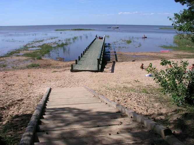 Maakond: Tartumaa Veekogu nimi: Võrtsjärv Pildistamise aeg: 16. juuni 2007 Pildistaja: H. Timm Pildistamise koht: Vehendi rand Asimuut: