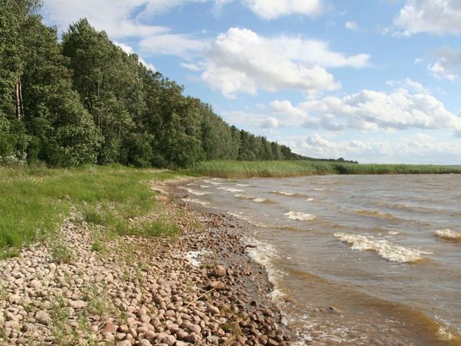 Maakond: Tartumaa Veekogu nimi: Võrtsjärv Pildistamise aeg: 15. juuli 2007 Pildistaja: H. Timm Pildistamise koht: Limnoloogia Asimuut: