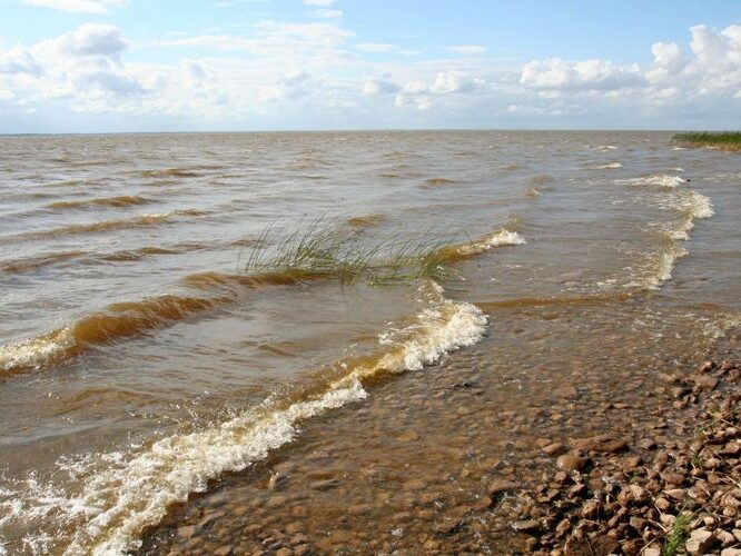 Maakond: Tartumaa Veekogu nimi: Võrtsjärv Pildistamise aeg: 15. juuli 2007 Pildistaja: H. Timm Pildistamise koht: Limnoloogia Asimuut: