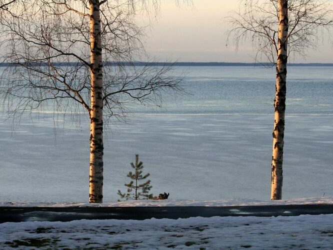 Maakond: Tartumaa Veekogu nimi: Võrtsjärv Pildistamise aeg: detsember 2007 Pildistaja: H. Timm Pildistamise koht: Limnoloogia Asimuut: