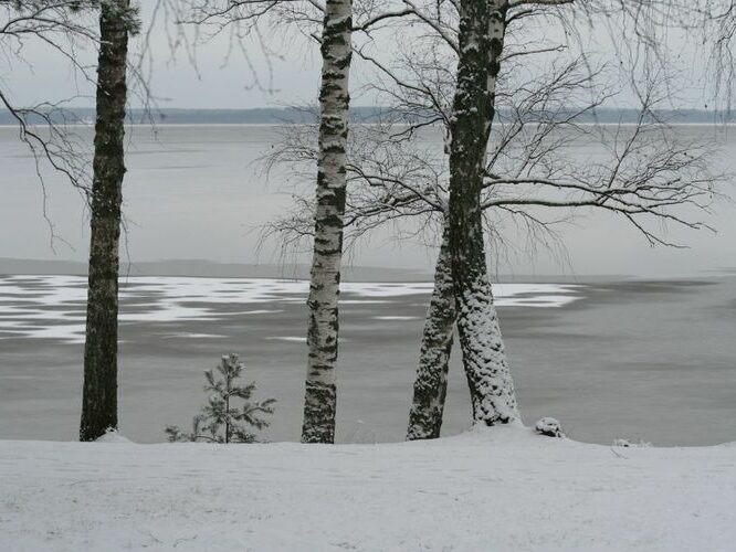 Maakond: Tartumaa Veekogu nimi: Võrtsjärv Pildistamise aeg: jaanuar 2008 Pildistaja: H. Timm Pildistamise koht: Limnoloogia Asimuut: