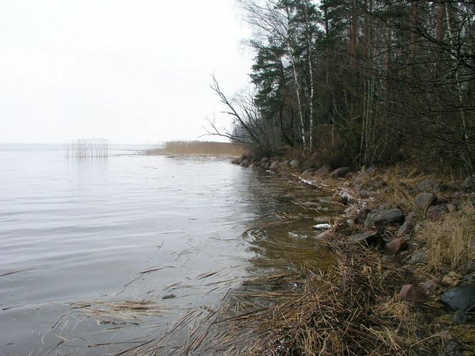 Maakond: Tartumaa Veekogu nimi: Võrtsjärv Pildistamise aeg: 2. märts 2008 Pildistaja: H. Timm Pildistamise koht: Limnoloogia Asimuut: