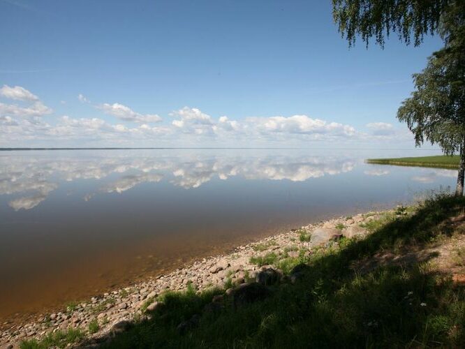 Maakond: Tartumaa Veekogu nimi: Võrtsjärv Pildistamise aeg: juuli 2008 Pildistaja: H. Timm Pildistamise koht: Limnoloogia Asimuut: