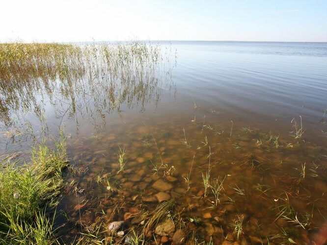 Maakond: Tartumaa Veekogu nimi: Võrtsjärv Pildistamise aeg: 23. september 2008 Pildistaja: H. Timm Pildistamise koht: teadmata Asimuut: