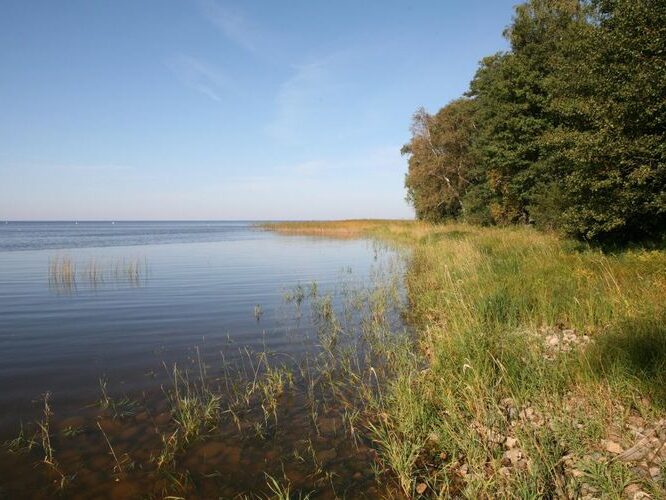 Maakond: Tartumaa Veekogu nimi: Võrtsjärv Pildistamise aeg: 23. september 2008 Pildistaja: H. Timm Pildistamise koht: teadmata Asimuut: