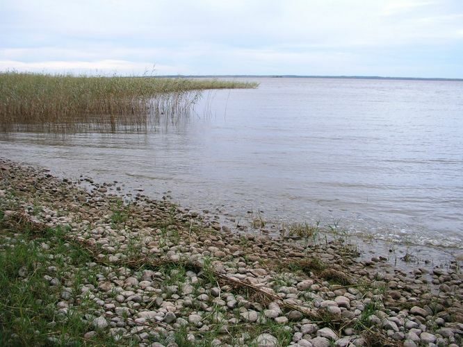 Maakond: Tartumaa Veekogu nimi: Võrtsjärv Pildistamise aeg: 5. oktoober 2009 Pildistaja: H. Timm Pildistamise koht: Limnoloogia Asimuut: