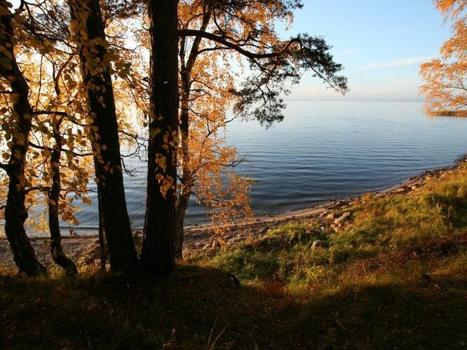 Maakond: Tartumaa Veekogu nimi: Võrtsjärv Pildistamise aeg: 10. oktoober 2008 Pildistaja: H. Timm Pildistamise koht: Limnoloogia Asimuut: