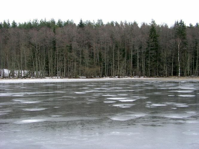 Maakond: Tartumaa Veekogu nimi: Võrtsjärv Pildistamise aeg: detsember 2008 Pildistaja: H. Timm Pildistamise koht: Limnoloogia Asimuut: