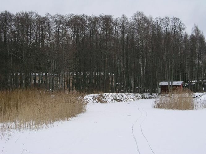 Maakond: Tartumaa Veekogu nimi: Võrtsjärv Pildistamise aeg: detsember 2008 Pildistaja: H. Timm Pildistamise koht: Petseri Asimuut: