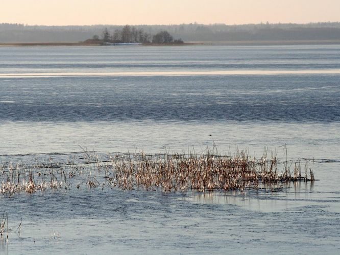 Maakond: Tartumaa Veekogu nimi: Võrtsjärv Pildistamise aeg: 8. detsember 2008 Pildistaja: H. Timm Pildistamise koht: Limnoloogia Asimuut: