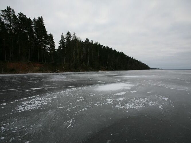 Maakond: Tartumaa Veekogu nimi: Võrtsjärv Pildistamise aeg: 17. jaanuar 2009 Pildistaja: H. Timm Pildistamise koht: Vehendist S Asimuut: