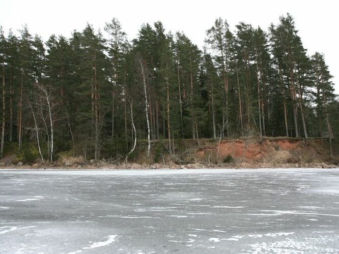 Maakond: Tartumaa Veekogu nimi: Võrtsjärv Pildistamise aeg: 17. jaanuar 2009 Pildistaja: H. Timm Pildistamise koht: Vehendist S Asimuut: