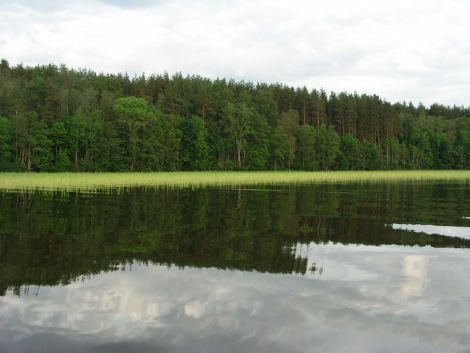 Maakond: Tartumaa Veekogu nimi: Võrtsjärv Pildistamise aeg: 11. juuni 2009 Pildistaja: H. Timm Pildistamise koht: Limnoloogia Asimuut: