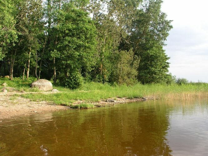 Maakond: Tartumaa Veekogu nimi: Võrtsjärv Pildistamise aeg: 11. august 2009 Pildistaja: H. Timm Pildistamise koht: Tasa Asimuut: