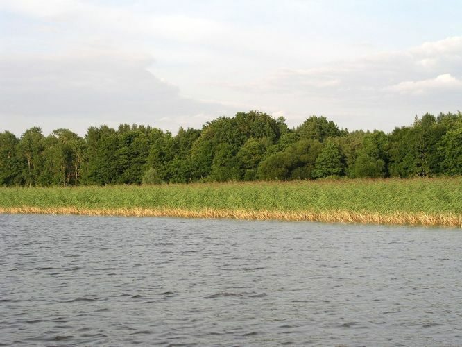 Maakond: Tartumaa Veekogu nimi: Võrtsjärv Pildistamise aeg: 11. august 2009 Pildistaja: H. Timm Pildistamise koht: Petseri ja Tasa vahel Asimuut: