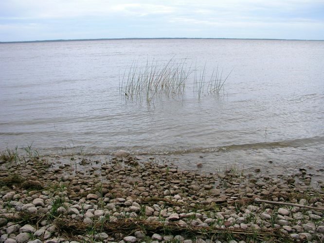 Maakond: Tartumaa Veekogu nimi: Võrtsjärv Pildistamise aeg: 5. oktoober 2009 Pildistaja: H. Timm Pildistamise koht: Limnoloogia Asimuut: