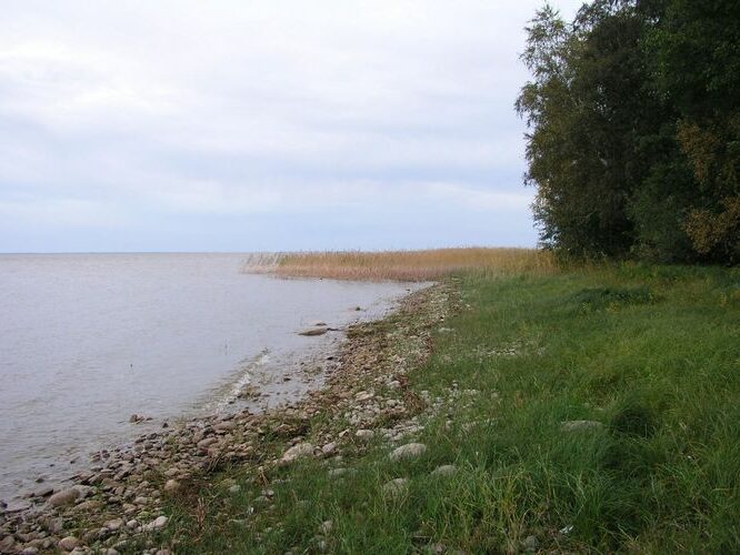 Maakond: Tartumaa Veekogu nimi: Võrtsjärv Pildistamise aeg: 5. oktoober 2009 Pildistaja: H. Timm Pildistamise koht: Limnoloogia Asimuut: