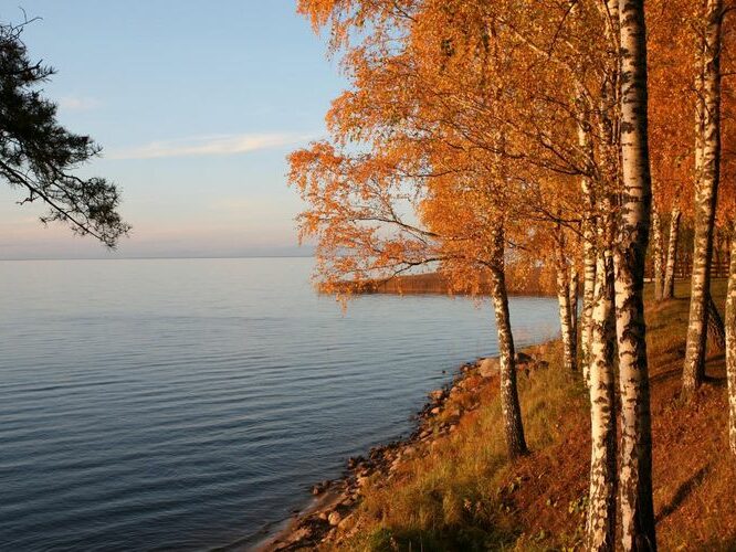 Maakond: Tartumaa Veekogu nimi: Võrtsjärv Pildistamise aeg: 10. oktoober 2009 Pildistaja: H. Timm Pildistamise koht: Limnoloogia Asimuut: