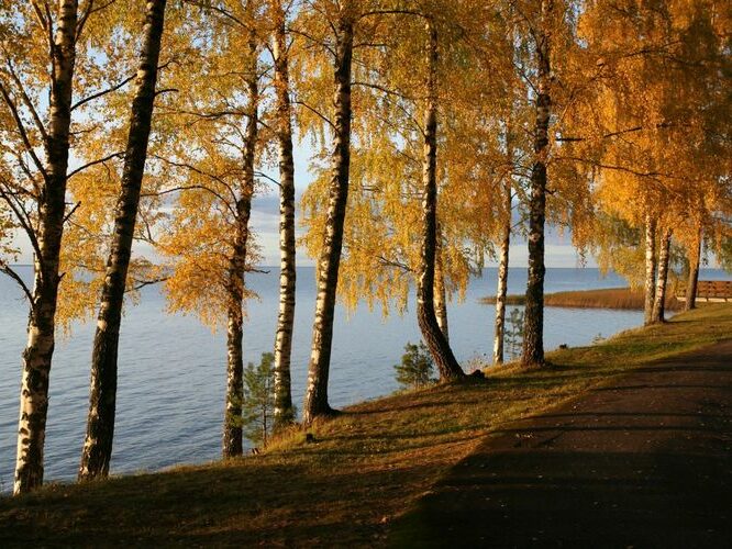 Maakond: Tartumaa Veekogu nimi: Võrtsjärv Pildistamise aeg: 10. oktoober 2009 Pildistaja: H. Timm Pildistamise koht: Limnoloogia Asimuut: