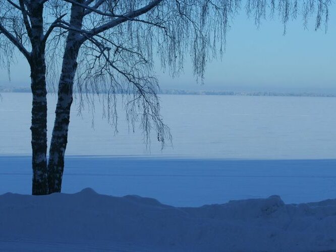 Maakond: Tartumaa Veekogu nimi: Võrtsjärv Pildistamise aeg: 11. jaanuar 2010 Pildistaja: H. Timm Pildistamise koht: Limnoloogia Asimuut: