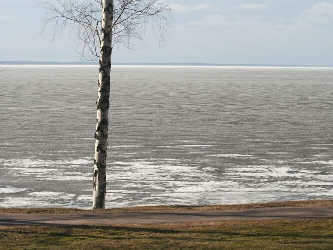 Maakond: Tartumaa Veekogu nimi: Võrtsjärv Pildistamise aeg: aprill 2010 Pildistaja: H. Timm Pildistamise koht: Limnoloogia Asimuut: