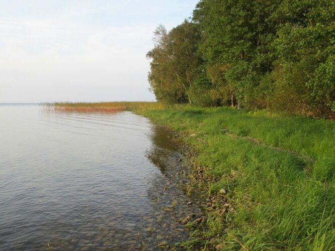 Maakond: Tartumaa Veekogu nimi: Võrtsjärv Pildistamise aeg: 24. september 2010 Pildistaja: H. Timm Pildistamise koht: Limnoloogia - Sapi Asimuut: