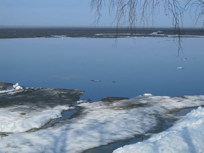 Maakond: Tartumaa Veekogu nimi: Võrtsjärv Pildistamise aeg: 18. aprill 2011 Pildistaja: H. Timm Pildistamise koht: Limnoloogia Asimuut: