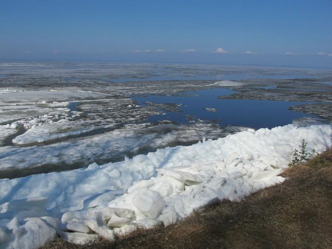 Maakond: Tartumaa Veekogu nimi: Võrtsjärv Pildistamise aeg: 18. aprill 2011 Pildistaja: H. Timm Pildistamise koht: Limnoloogia Asimuut: