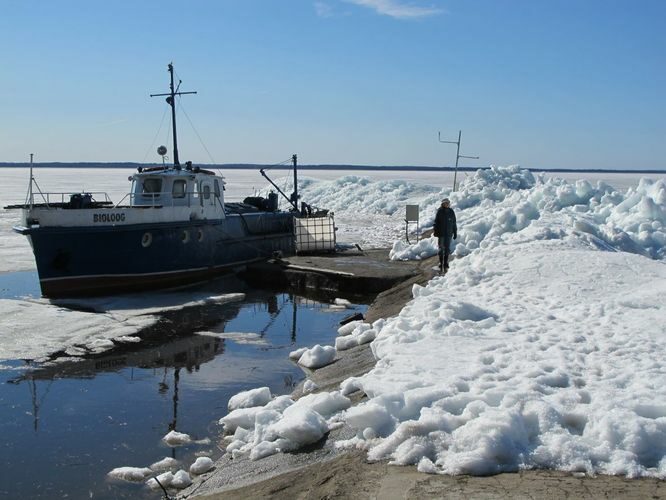 Maakond: Tartumaa Veekogu nimi: Võrtsjärv Pildistamise aeg: 18. aprill 2011 Pildistaja: H. Timm Pildistamise koht: Limnoloogia Asimuut: