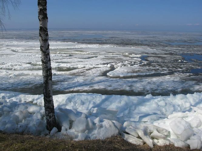 Maakond: Tartumaa Veekogu nimi: Võrtsjärv Pildistamise aeg: 18. aprill 2011 Pildistaja: H. Timm Pildistamise koht: Limnoloogia Asimuut: