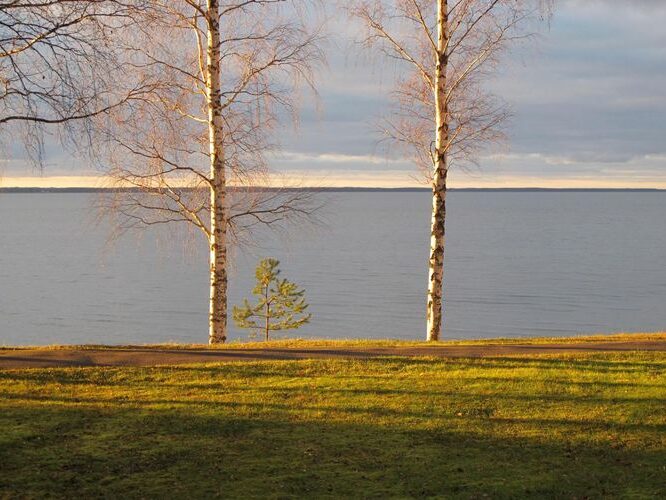 Maakond: Tartumaa Veekogu nimi: Võrtsjärv Pildistamise aeg: november 2011 Pildistaja: H. Timm Pildistamise koht: Limnoloogia Asimuut: