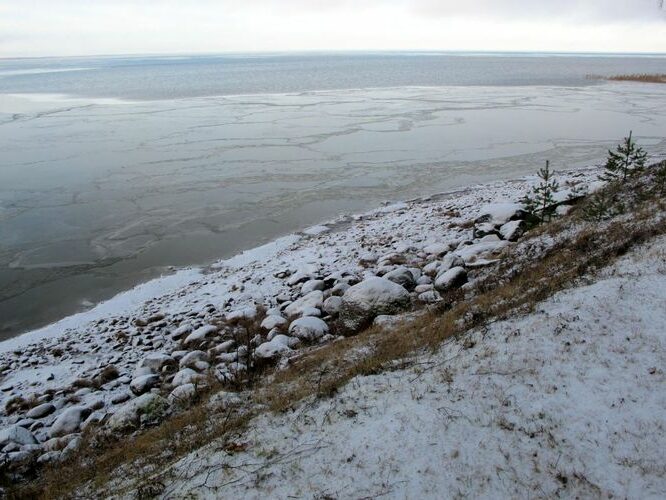 Maakond: Tartumaa Veekogu nimi: Võrtsjärv Pildistamise aeg: detsember 2011 Pildistaja: H. Timm Pildistamise koht: Limnoloogia Asimuut: