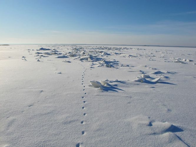 Maakond: Tartumaa Veekogu nimi: Võrtsjärv Pildistamise aeg: jaanuar 2012 Pildistaja: H. Timm Pildistamise koht: Limnoloogia Asimuut: