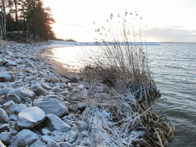 Maakond: Tartumaa Veekogu nimi: Võrtsjärv Pildistamise aeg: 7. jaanuar 2012 Pildistaja: H. Timm Pildistamise koht: Limnoloogia Asimuut: