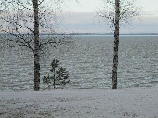 Maakond: Tartumaa Veekogu nimi: Võrtsjärv Pildistamise aeg: 7. jaanuar 2012 Pildistaja: H. Timm Pildistamise koht: Limnoloogia Asimuut: