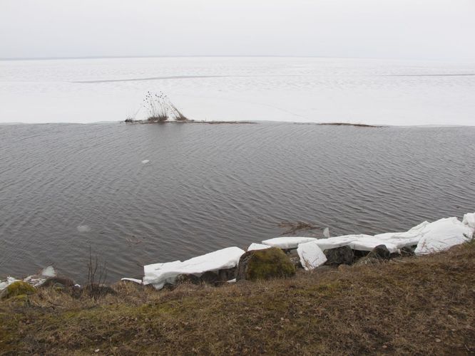 Maakond: Tartumaa Veekogu nimi: Võrtsjärv Pildistamise aeg: aprill 2012 Pildistaja: H. Timm Pildistamise koht: Limnoloogia Asimuut: