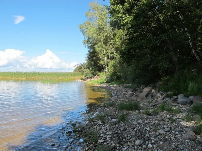 Maakond: Tartumaa Veekogu nimi: Võrtsjärv Pildistamise aeg: august 2012 Pildistaja: H. Timm Pildistamise koht: Limnoloogia Asimuut: