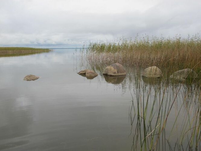 Maakond: Tartumaa Veekogu nimi: Võrtsjärv Pildistamise aeg: 25. september 2012 Pildistaja: H. Timm Pildistamise koht: Tarvastu polder Asimuut: