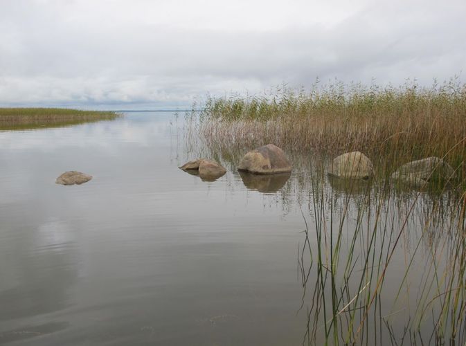 Maakond: Tartumaa Veekogu nimi: Võrtsjärv Pildistamise aeg: 25. september 2012 Pildistaja: H. Timm Pildistamise koht: Tarvastu polder Asimuut: