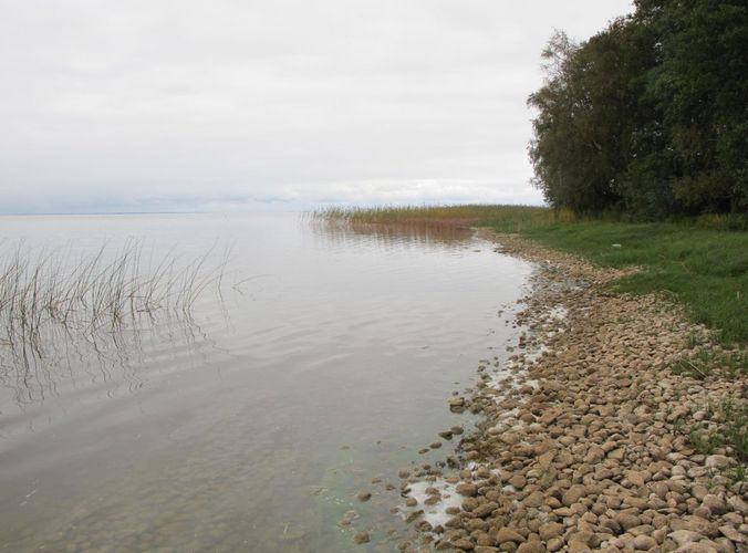 Maakond: Tartumaa Veekogu nimi: Võrtsjärv Pildistamise aeg: 25. september 2012 Pildistaja: H. Timm Pildistamise koht: Limnoloogia - Sapi Asimuut: