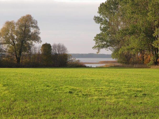 Maakond: Tartumaa Veekogu nimi: Võrtsjärv Pildistamise aeg: 18. oktoober 2012 Pildistaja: H. Timm Pildistamise koht: Arali Asimuut: