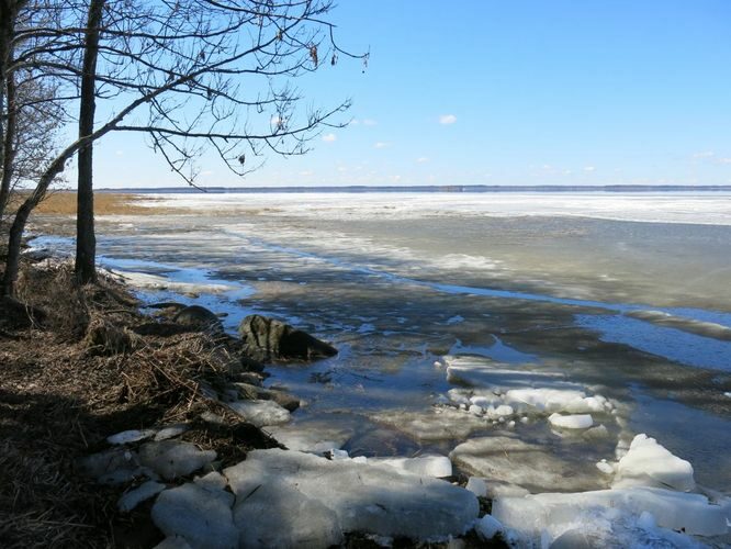 Maakond: Tartumaa Veekogu nimi: Võrtsjärv Pildistamise aeg: aprill 2013 Pildistaja: H. Timm Pildistamise koht: Petseri Asimuut: